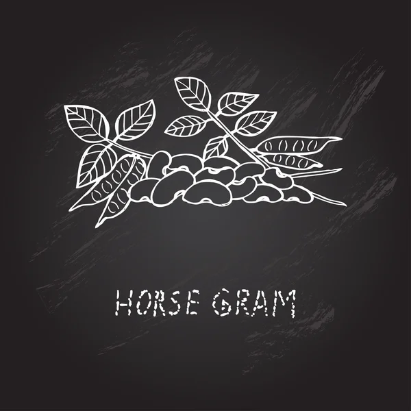 Mão desenhada cavalo grama — Vetor de Stock