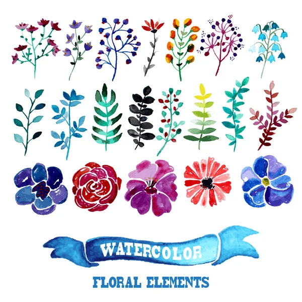 水彩画の花の要素 — ストックベクタ