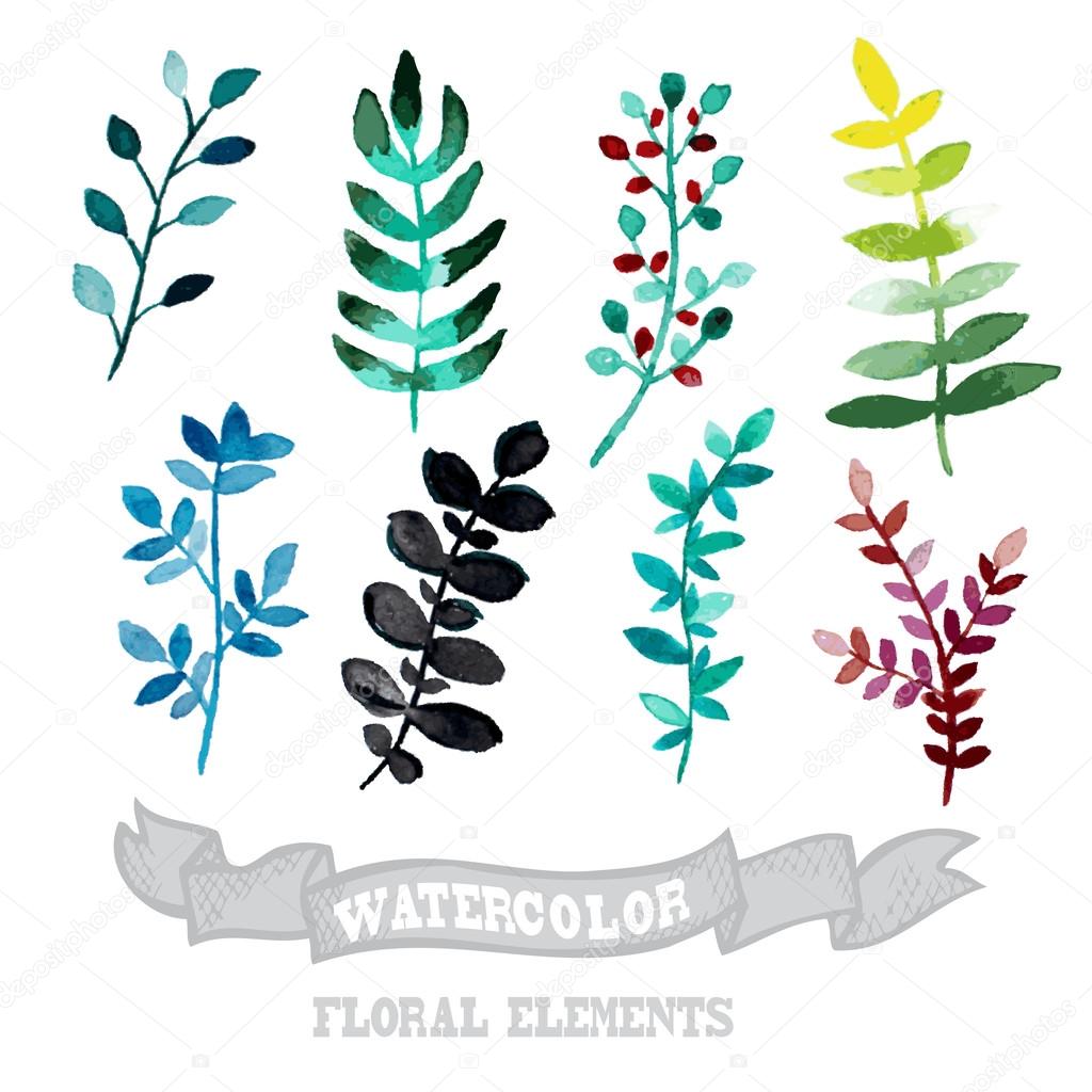 watercolor floral elements