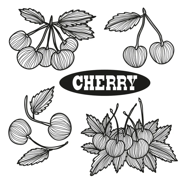 Frutos de cereza dibujados a mano — Vector de stock