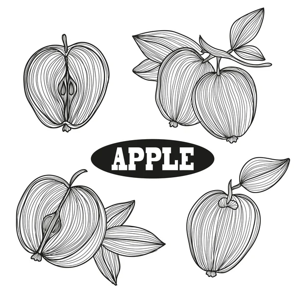 Hand drawn apple fruits — 图库矢量图片