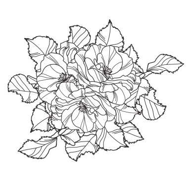 soyut çiçek dekorasyonu