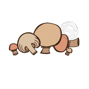 elle çizilmiş sebze