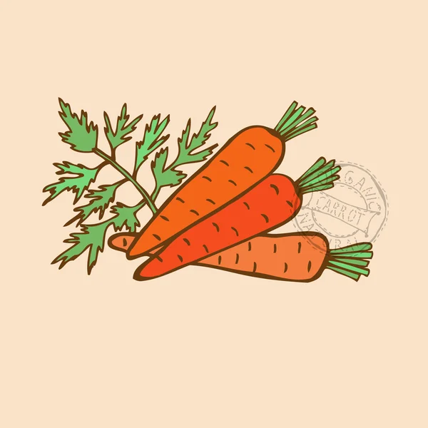 Verdura disegnata a mano — Vettoriale Stock