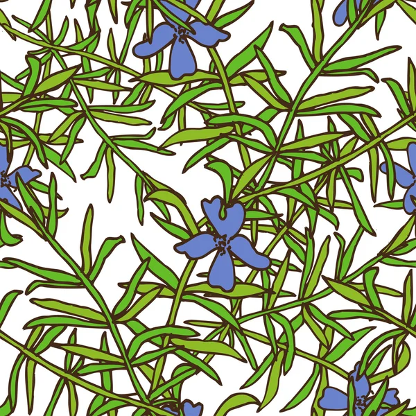 Herbes et épices motif sans couture — Image vectorielle