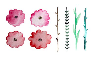 suluboya çiçek öğeleri