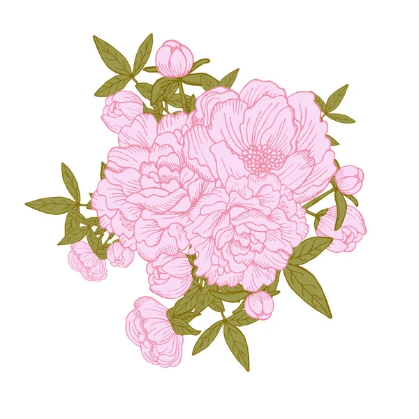 Peonía ramos florales — Vector de stock