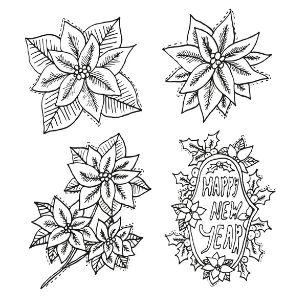 Mão desenhado conjunto de flores poinsettia — Vetor de Stock