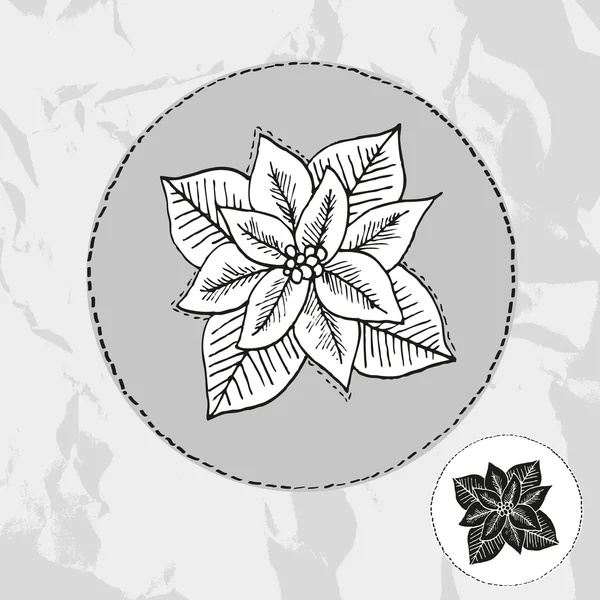 Poinsettia dessiné à la main — Image vectorielle