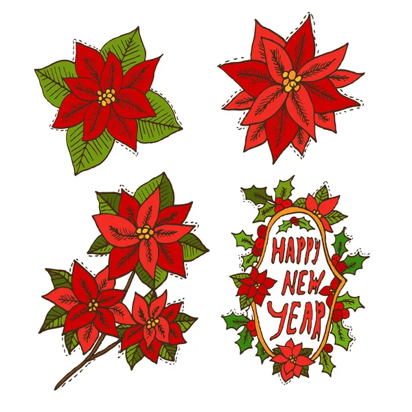 Hand drawn poinsettia flowers set — Stock Vector