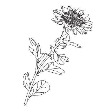 Elle çizilmiş çiçek dekorasyon