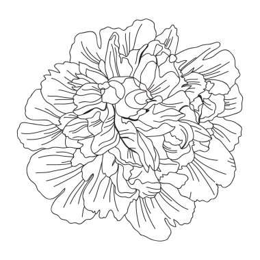 Elle çizilmiş çiçek dekorasyon