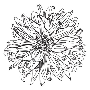 Elle çizilmiş çiçek dekorasyon