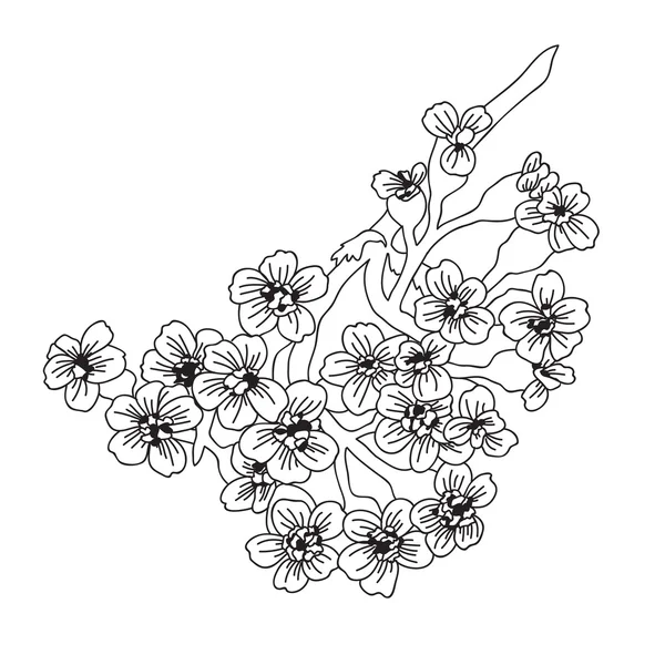 手描きの花飾り — ストックベクタ