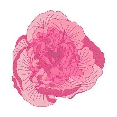 Elle çizilmiş çiçek dekorasyon