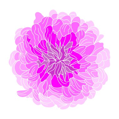 Elle çizilmiş çiçek dekorasyon