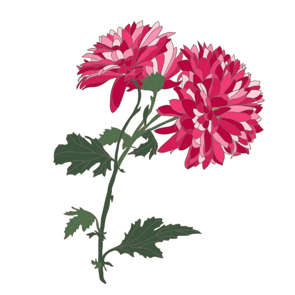 Hand getrokken florale decoratie — Stockvector