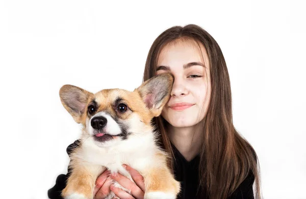 白人ティーン女の子とともにcorgi犬子犬 — ストック写真