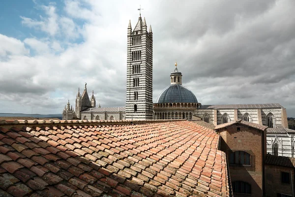 Siena Katedrali (Duomo adlı üstten görünüm)