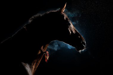 gece yağmur ve duman altında kırmızı at