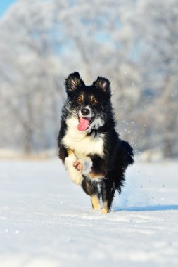 Kenar kömür ocağı eğlenceli kış