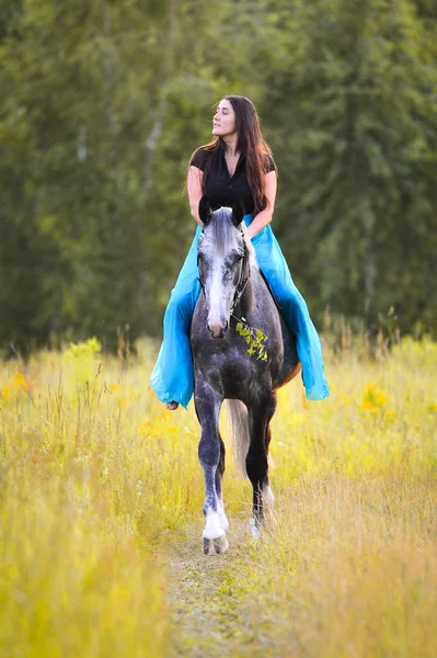 Woman and grey horse — Stock Photo, Image