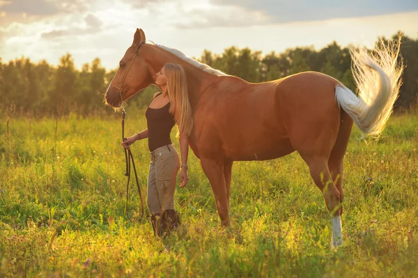 Nő és a golden horse — Stock Fotó