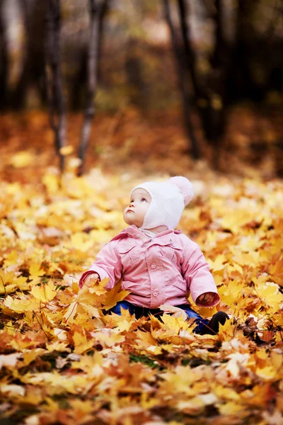 공원에 있는 아기 — 스톡 사진