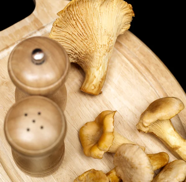 鸡油菌蘑菇 — 图库照片