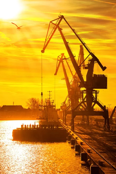 Hafen bei Sonnenaufgang — Stockfoto