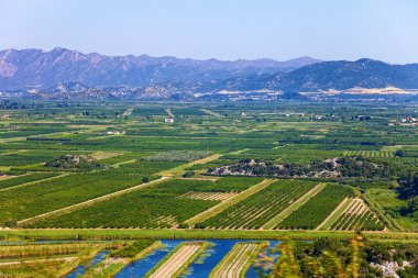 Vineyard Hırvatistan