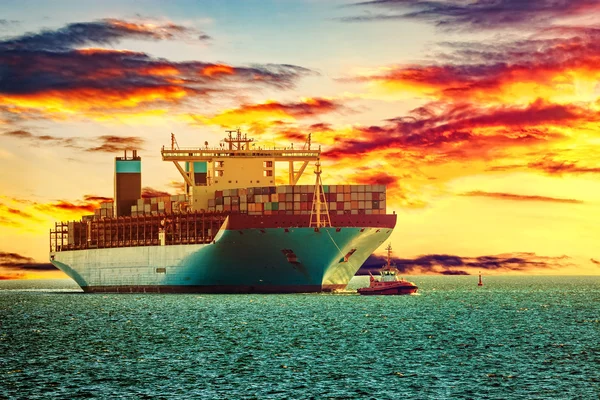 Container ship on sea — Stock Photo, Image