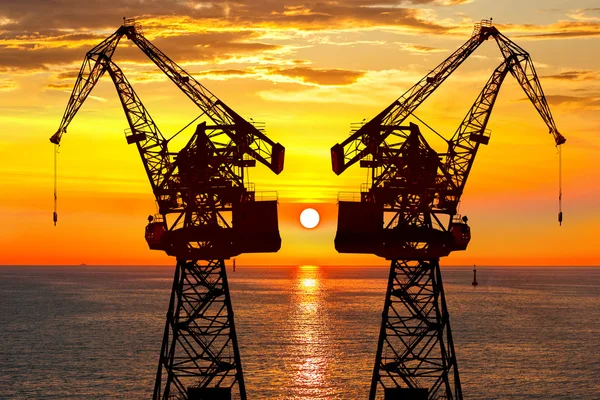 The cranes at sunset — Stock Photo, Image