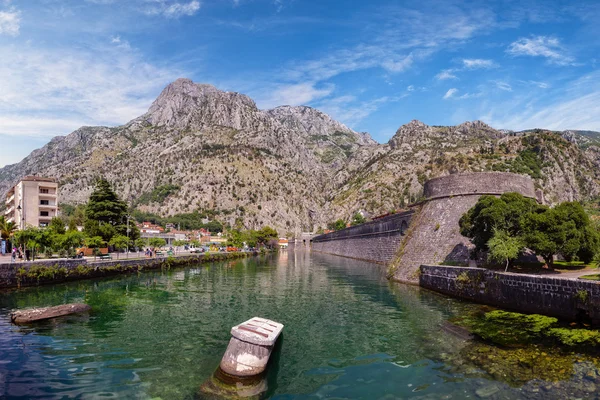 Fortificação de muralha da cidade kotor — Fotografia de Stock