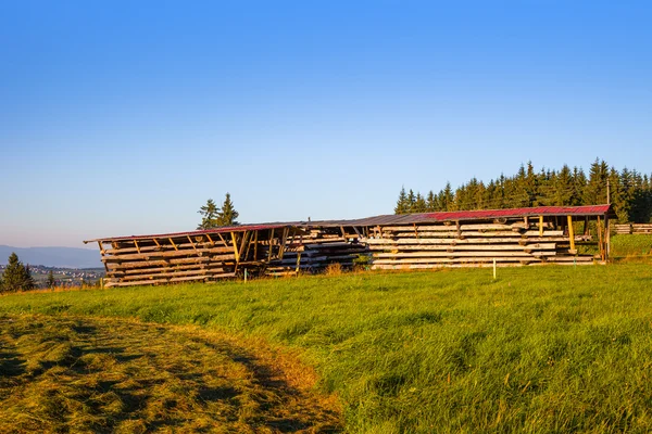 Skär vedfack — Stockfoto