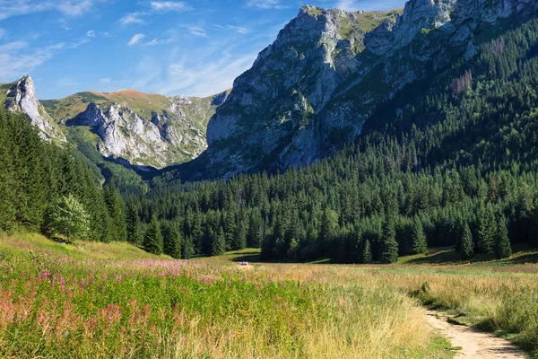 Su un sentiero di montagna — Foto Stock