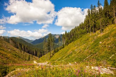 Tatra Dağları peyzaj