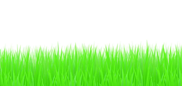 Grass, vector — Stock Vector