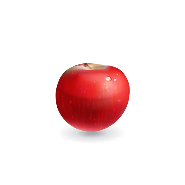 Rött äpple. vektor — Stock vektor