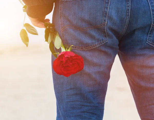 Hombre con una rosa a sus espaldas —  Fotos de Stock