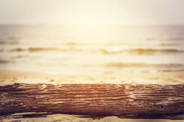 Trädstam ligga på stranden — Stockfoto