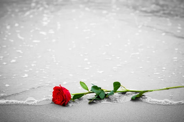 Ondas lavando una rosa roja — Foto de Stock