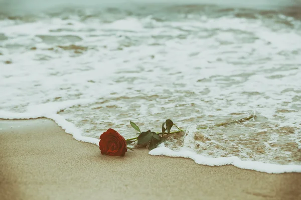 Ondas que tiram ao lavar uma rosa vermelha — Fotografia de Stock