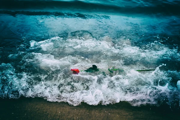 Onde che tolgono lavando una rosa rossa — Foto Stock