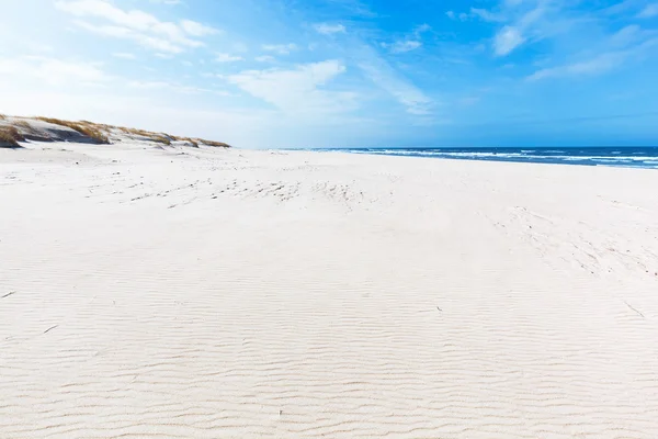 Wide summer beach and dunes — Stock Photo, Image