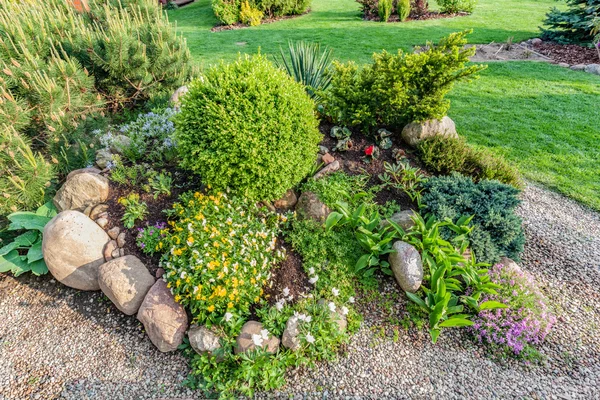 Summer garden with green plants — Stock Photo, Image