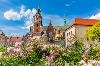 Wawel Cathedral in Cracow clipart