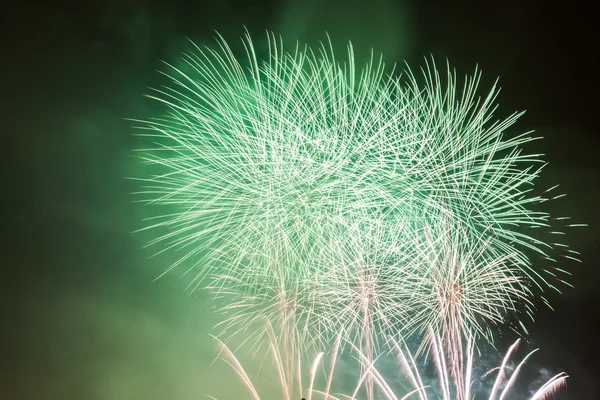 Spectacular fireworks show — Stock Photo, Image