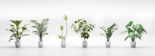 Conjunto Plantas Verdes Tropicais Vasos Ativos Decoração Casa Fundo Branco — Fotografia de Stock