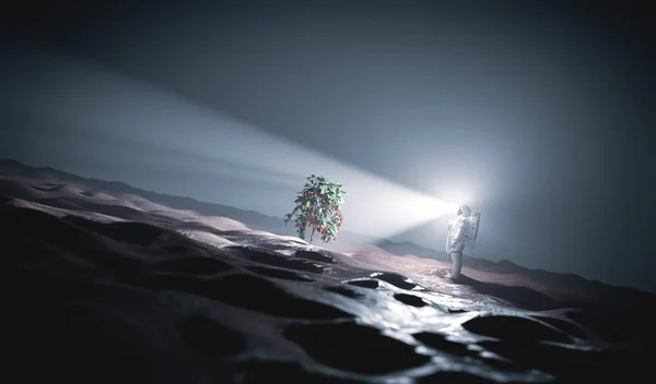 宇航员在火星上发现了绿色植物 一颗红色的行星 太空行走 3D渲染 — 图库照片